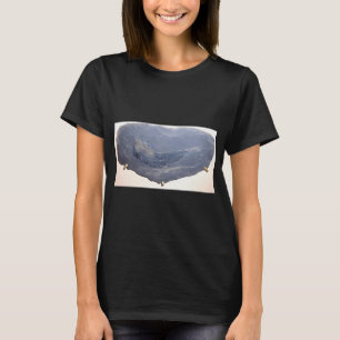 T-shirt Dessin de poisson ancien