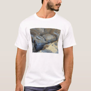 T-shirt Deux dispositifs en forme de boîte emballés