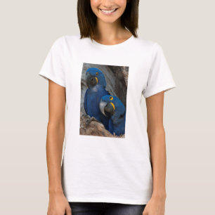 T-shirt Deux Macaws Hyacinth, Brésil