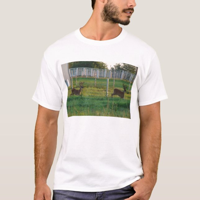 T-shirt Deux mâles (Devant)