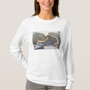 T-shirt Deux ours polaires