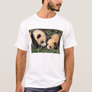 T-shirt Deux petits panda dans le bambou, Wolong,