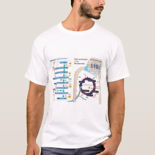T-shirt Diagramme de la respiration cellulaire Glycolyse G