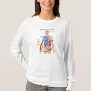 T-shirt Diagramme de système (RAS) de rénine-angiotensin