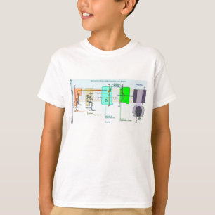 T-shirt Diagramme d'espace de Mitonchondrial Intermembrane