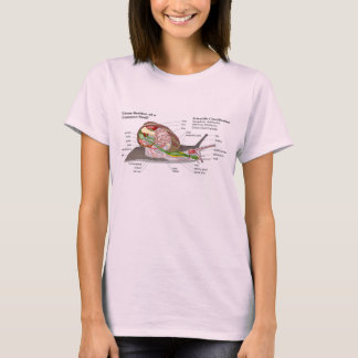 T-shirt Diagramme d'un escargot de jardin commun (Helix as