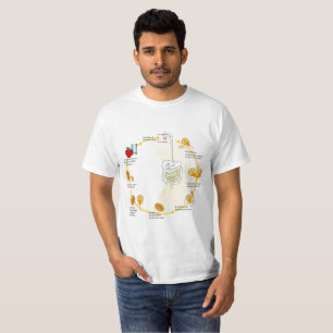 T-shirt Diagramme Giardia Cycle de vie Parasite