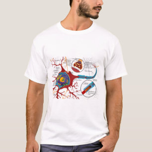 T-shirt Diagramme Neurone Complet Système Nerveux Cellule