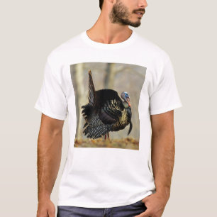 T-shirt Dindon mâle faisant la roue, Illinois