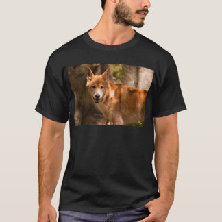 T-shirt Dingo australien