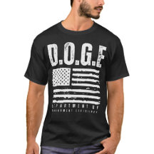 DOGE Ministère De L'Efficacité Gouvernementale