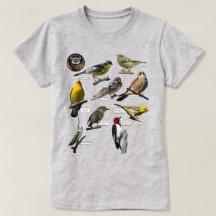 T-shirt d'oiseaux
