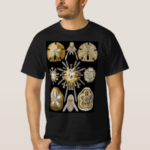 T-shirt Dollars vintages de sable Urchines maritimes par E