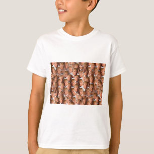 T-shirt donald drumpf