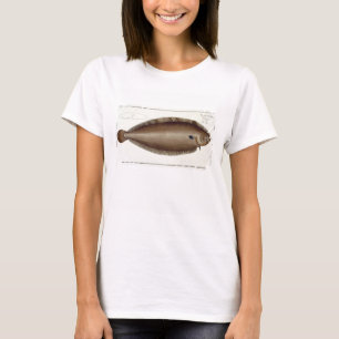 T-shirt Dover Sole (Solea Solaea) plate XLV from 'Ichthyol