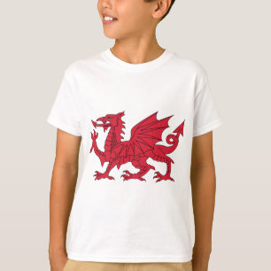T-shirt Dragon de Gallois