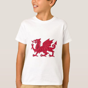 T-shirt Dragon gallois