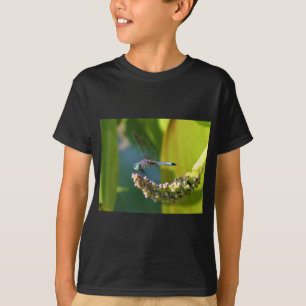 T-shirt Dragonfly aux yeux turquoises