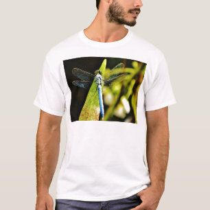 T-shirt Dragonfly bleu clair