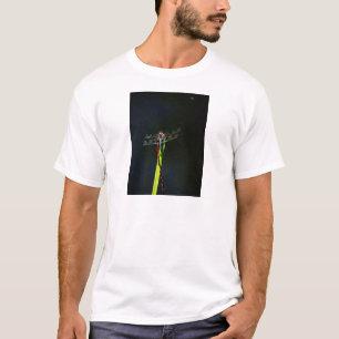 T-shirt Dragonfly bleu et noir sur gazon vert et rouge