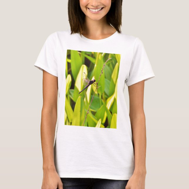 T-shirt Dragonfly Blue et noir sur l'herbe. (Devant)