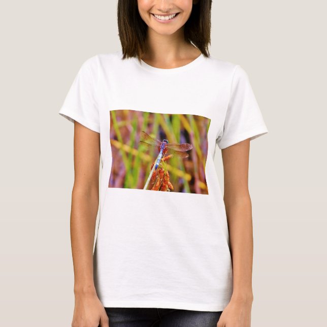 T-shirt Dragonfly turquoise sur le carex (Devant)