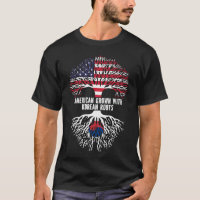 Drapeau américain avec racines coréennes USA