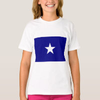 Drapeau bleu Bonnie
