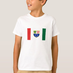 T-shirt Drapeau de la Fédération de Bosnie-Herzégovine