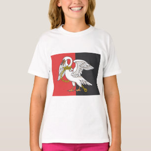 T-shirt Drapeau du Buckinghamshire (comté britannique)