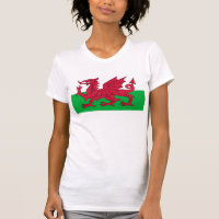 Drapeau du Pays de Galles - le dragon rouge -
