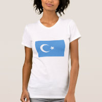 Drapeau du Turkestan oriental Ouyghur