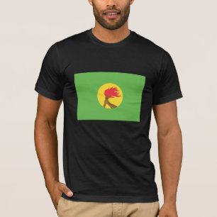 T-shirt Drapeau du Zaïre