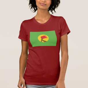 T-shirt Drapeau du Zaïre