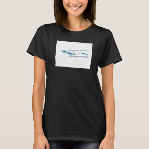 T-shirt Drapeau international de la Commission du bassin d