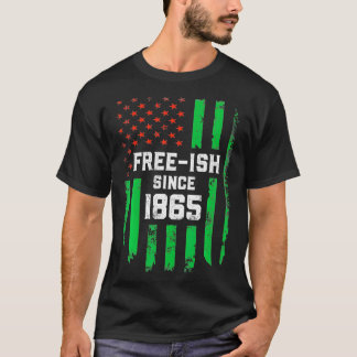 T-shirt Drapeau Junetten USA Freeish 1865