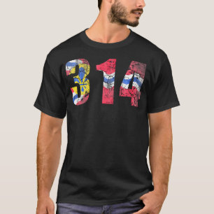 T-shirt Drapeau St Louis Missouri 314 Vintage en détresse