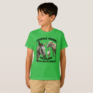 T-shirt Drôle Âne Il N'Y A Pas De Bébé