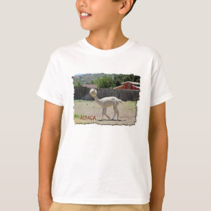 T-shirt drôle d'alpaga