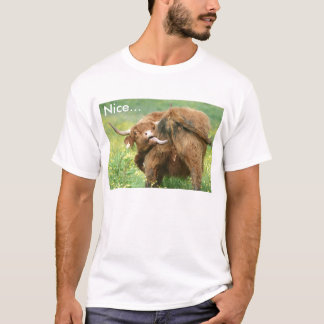 T-shirt drôle de vache d'Aberdeen Angus