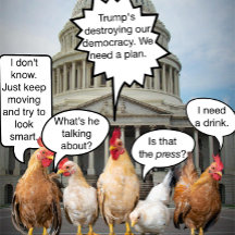 Drôle Démocrates du poulet Humour politique