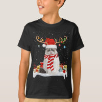 Drôle Noël Éclairage Reindeer Santa Hat Ragdoll Ch