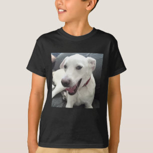 T-shirt Drôle Souriant Photo Chien Portant un Collar Rouge
