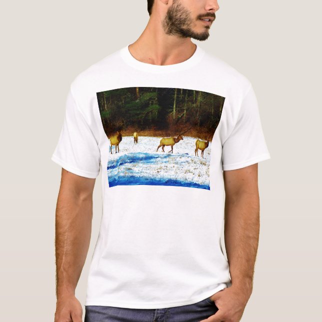 T-SHIRT DSC00131.JPG (Devant)