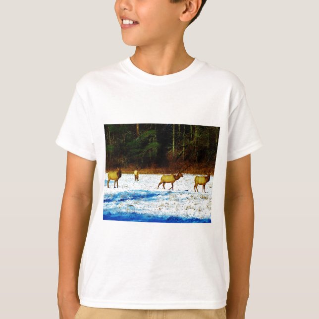 T-SHIRT DSC00131.JPG (Devant)