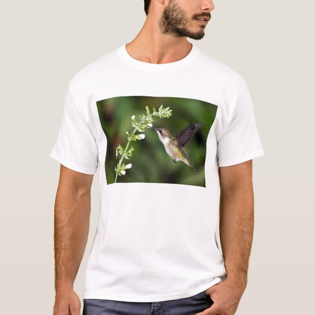 T-shirt du colibri 10 (Devant)