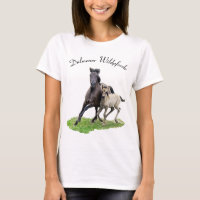 Dulmen sauvage Horse Cute Foal _ DülWildpferde
