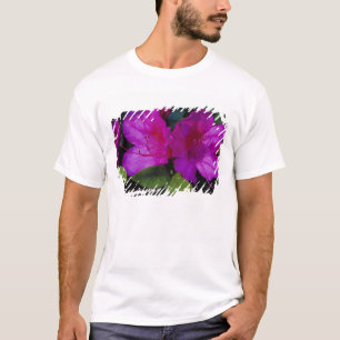 T-shirt É.-U. Géorgie, Savannah. Azalée en fleurs.