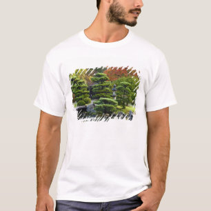 T-shirt É.-U., Washington, Seattle, Arboretum, Japonais