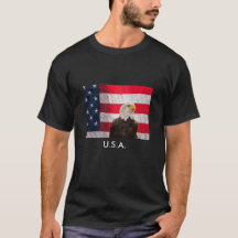Eagle chauve et le drapeau américain
